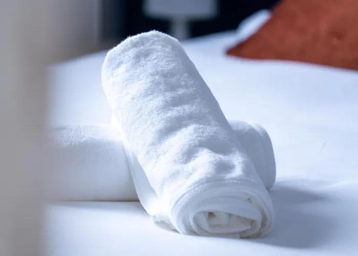 Le 335 - Maison De Charme - Parking - Proche Circuit Des 24h * Le Mans